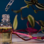 How is perfume made