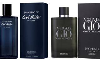 Giorgio Armani Acqua di Giò vs. Davidoff Cool Water